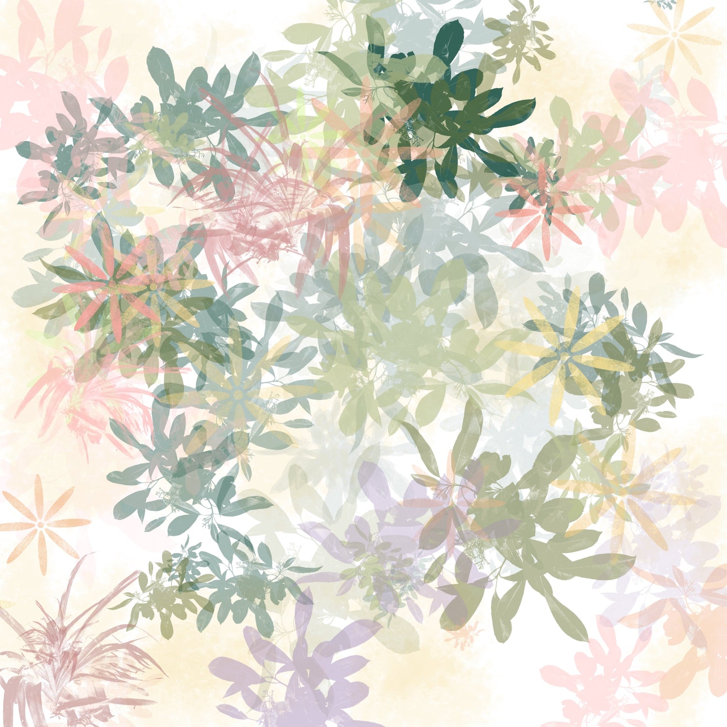 Sage grasses